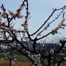 시우네농장 이미지