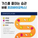 장바탕 | 헬씨장 낙산균 유산균 솔직 후기｜장 더부룩함·복부 팽만 개선 체감 리뷰
