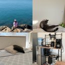 하은민박 | 터키 여행 안탈리아 자유여행 아쉬운 에어비앤비 숙소