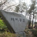 대전 근방의 벚꽃 나들이 4... (강경에서) 이미지