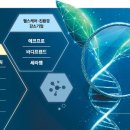 아이피뱅크