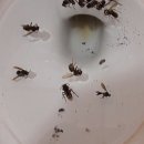 내산보건지소 이미지