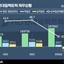 초호 이미지