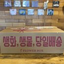 오후의꽃집 - 태안군 군청10길 13 | 오후의 꽃 : 카네이션 생화 택배 솔직 후기, 어버이날 스승의날 가성비 생화 구매 후기