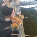 (주)풍영 이미지