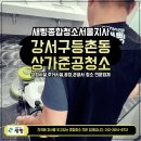 영월종합상가 화장실 | 강서구 등촌동 상가 인테리어 후 준공청소 후기｜개업 전 필수 과정