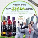 백년동안 마이데일리