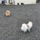 바우개펜션 이미지