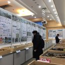 주식회사 펫트로 이미지