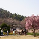 백송공원 화장실 이미지