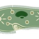 도야동물병원 이미지