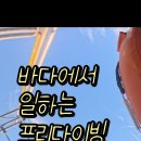미미다이브 네이버블로그