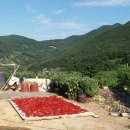 관청농장 이미지