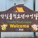 무주반딧불청소년야영장 | 175. 무주 반디랜드 반딧불청소년야영장