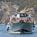 알찬정보 이미지