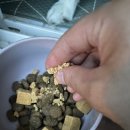 토담스펫 이미지