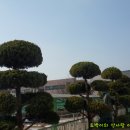 곡선초등학교 이미지