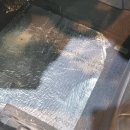 오토캐슬 이미지