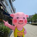 명륜동 식육점 고기한보따리 내돈내산 후기