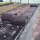 용토목장 이미지