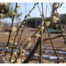 두어황토민박 이미지