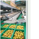 대저토마토산지유통센터 이미지