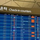 크린패밀리 | 1월 보홀 여행 1일차 (제주항공/공항픽업/아미한리조트/졸리비/노스젠빌라 선셋투어/아바탄 반딧불이)