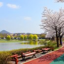 도심속에하루 이미지