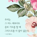 한몸 이미지