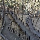 Re: 거창 항노화힐링랜드(抗老化 Healing Land) 이미지