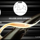 본플렉스
