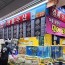 남문자동차서비스 | 가락시장 횟집 추천 영흥수산 회포장 주차