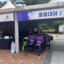 고성자연사박물관 | 아기랑 고성공룡엑스포 할인, 준비물, 유의사항, 퍼레이드 꿀팁 공유