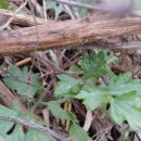 비암농장 이미지