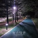 걷고싶은거리 이미지