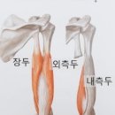 아테나휘트니스 이미지