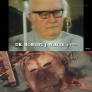 머리천국 이미지