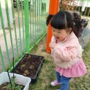 홍은농장 이미지