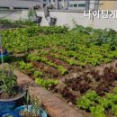 행복실버홈 요양원 이미지