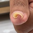 신통한방병원 이미지