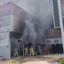 사파동119 이미지