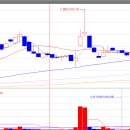 대양종합물류 이미지