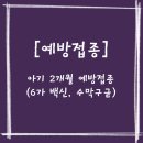해원이네 동물병원 | 예방접종 | 아기 2개월 예방접종, 6가 혼합백신, 수막구균
