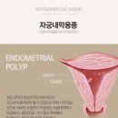 판교연세산부인과의원 이미지