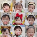 베이비꼬망 이미지