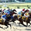 부산경남경마공원 화장실 이미지