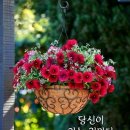 토닥토닥 이미지