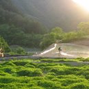 생태마을 이미지