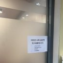오렌지핑퐁