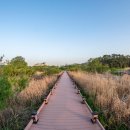 한림정역 | [김해]아이와 함께하는 '독수리 식당' 체험! 화포천습지과학관 예약부터 산책 코스까지